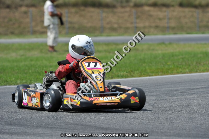 DSC_ (401).jpg